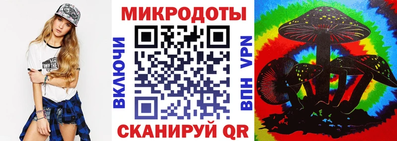 Галлюциногенные грибы Psilocybe  купить   Томмот 